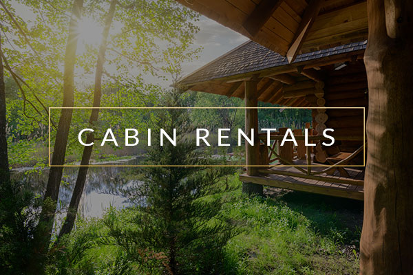 Cabin Rentals Lac Seul Whitewing Lodge Cabin Rentals