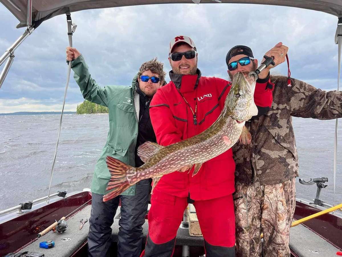 Whitewing Lodge Whitewing Lodge